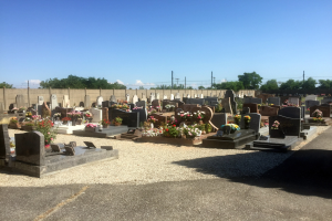 Ein Friedhof mit zahlreichen Grabsteinen, Blumen, einer Hintergrundmauer, Strommasten mit Drähten, Bäumen und einem bewölkten Himmel.