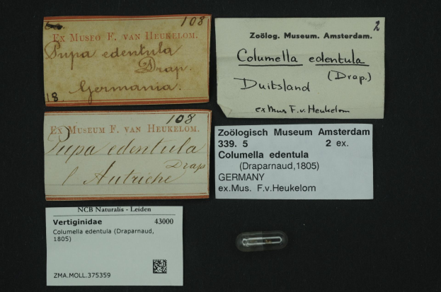 Eine Sammlung alter Visitenkarten mit Texten zum Thema Kolumella edentula, ein näherländisches Medikament, und ein kleines Papier mit einem Barcode.