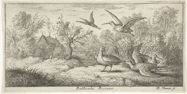 Waldlandschaft mit einer Gruppe von Vögeln, die über Bäume, Pflanzen, Gras und Häuser fliegen, mit Text unten.