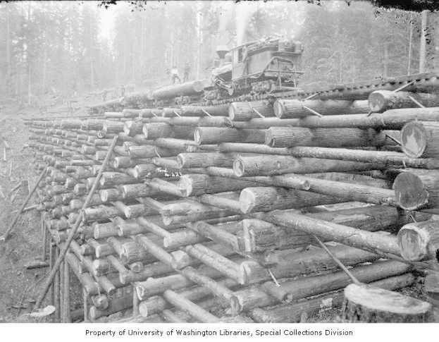 Schwarzes und weißes Foto eines Holzfäller-Lkw neben einem Holzstapel in einem bewaldeten Gebiet, mit mehreren Personen auf den Holzstämmen und Bäumen im Hintergrund.