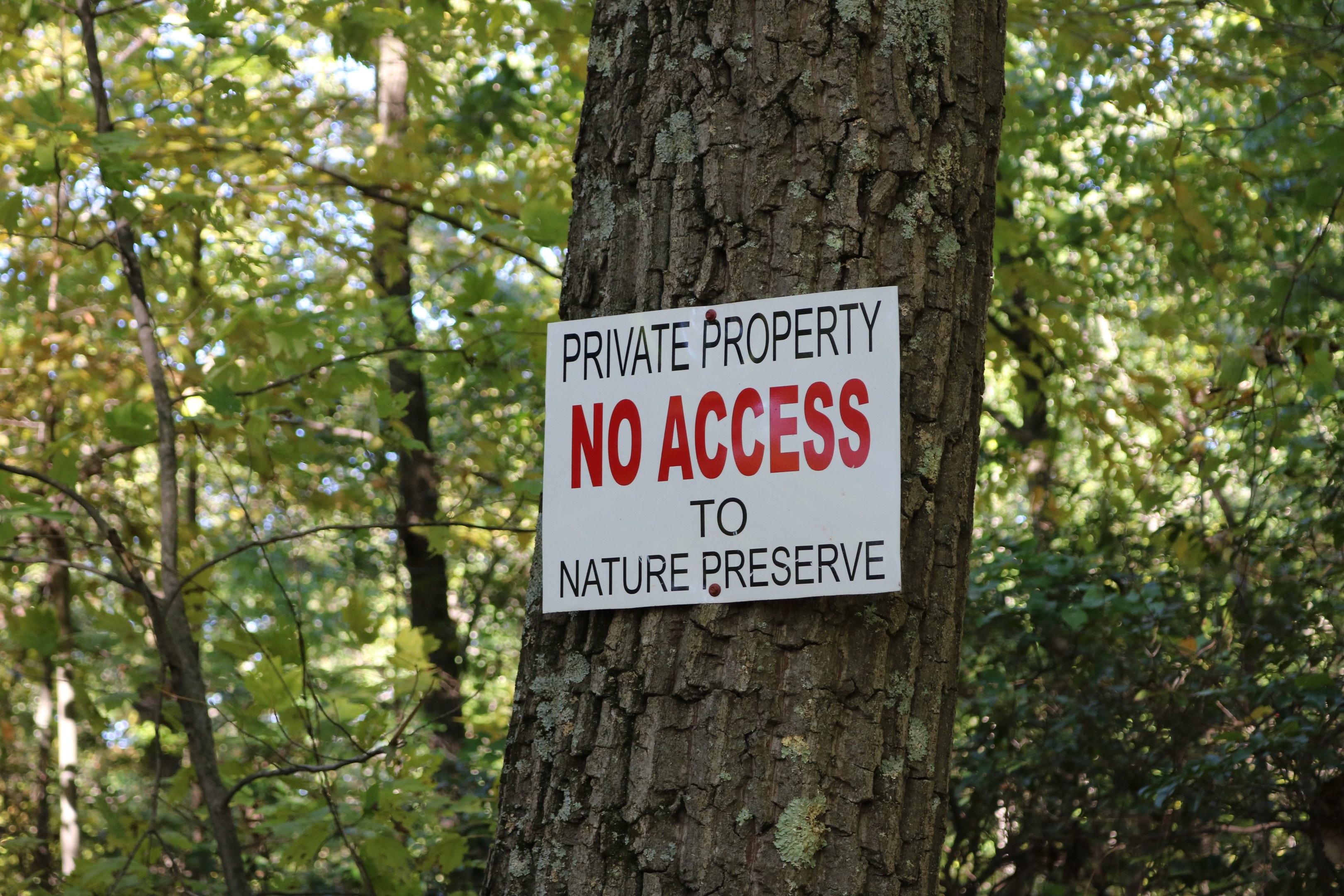 Ein Baum mit einem "Private Property No Access to Nature Preserve" Schild auf seinem Stamm, umgeben von dichtem Wald.