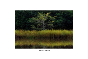 Eine grüne Fläche mit ein paar Bäumen und Text am unteren Rand des Bildes.