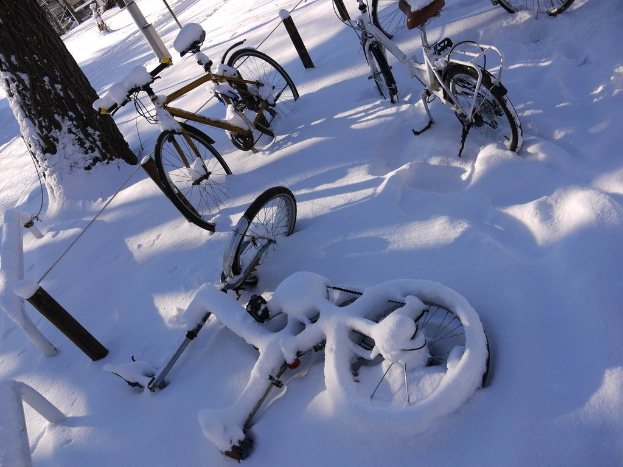 Eine Reihe von Fahrrädern, die teilweise von Schnee bedeckt sind, mit einem Baumstamm und einer Straße daneben.