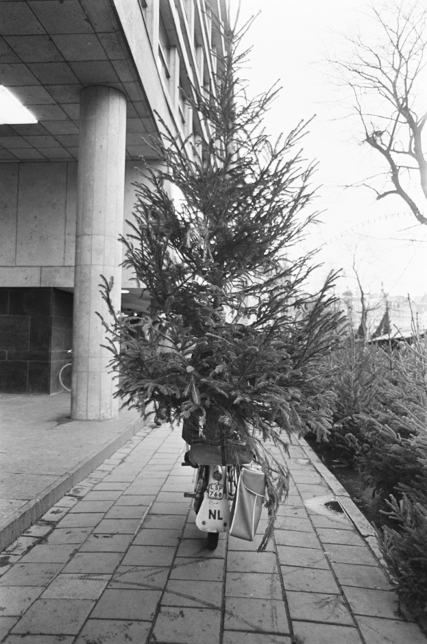 Ein Schwarz-Weiß-Foto eines Fahrrads mit einem Weihnachtsbaum auf dem Gepäckträger, das vor einem Gebäude mit Säulen und Deckenbeleuchtung geparkt ist, mit Pflanzen rechts und Gebäuden im Hintergrund.