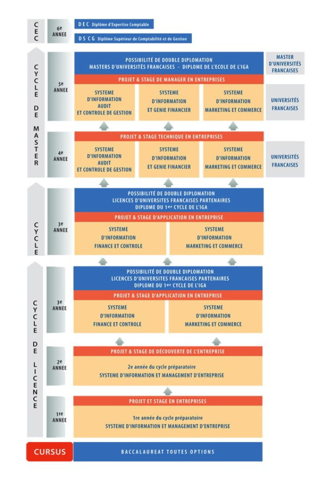 Diagramm, das die organisatorische Struktur eines Unternehmens mit miteinander verbundenen Kästchen darstellt, die verschiedene Phasen des Unternehmenswachstums und der Entwicklung darstellen, begleitet von Text, der Rollen und Verantwortlichkeiten beschreibt.