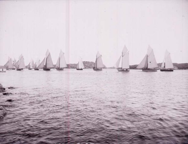 Schwarzes und weißes Foto einer Gruppe von Segelbooten, die auf dem Wasser segeln, mit Hügeln im Hintergrund und einem klaren Himmel, beschriftet als Foto des New York Yacht Club.