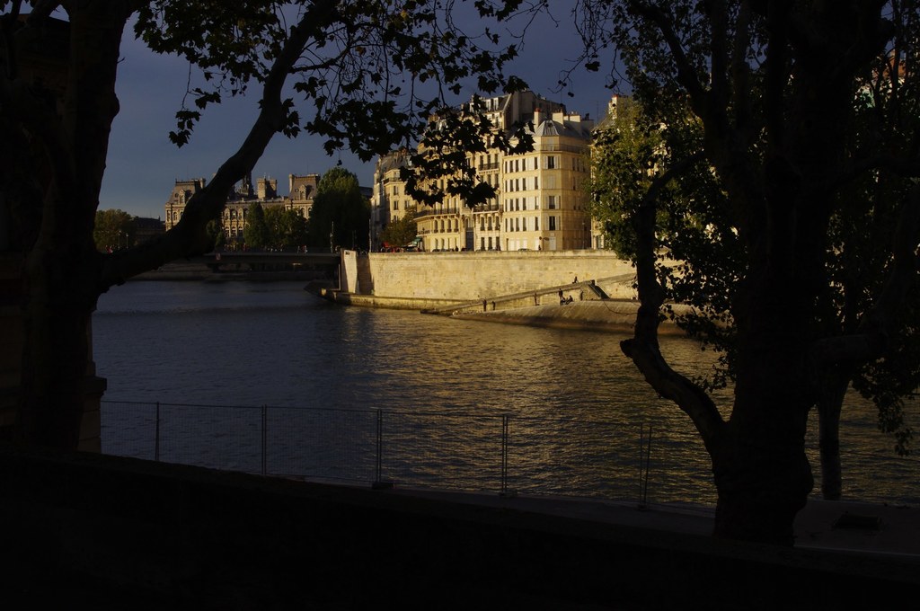 Ein Zaun, Wasser, Bäume, Gebäude, Laternenpfähle, Fahrzeuge auf einer Straße und der Himmel, möglicherweise in der Nähe eines Sees.