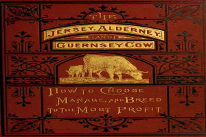 Ein Buch mit dem Titel 'Die Jersey-, Alderney- und Guernsey-Kuh: Wie man auswählt, verwaltet und züchtet, um den größten Profit zu erzielen' mit einem Bild einer Kuh auf dem Cover.