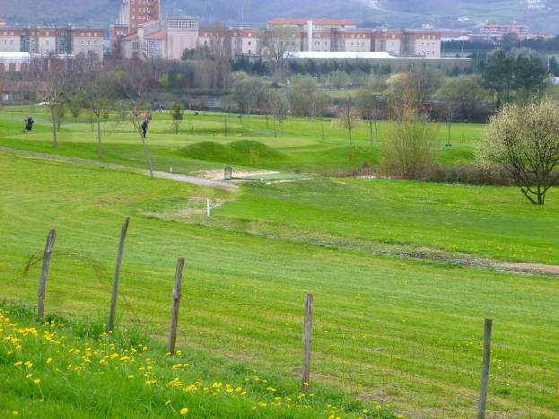 Golfplatz mit saftig grünem Rasen, hohen Bäumen, gelben Blumen im Vordergrund, Gebäuden und wolkenlosem Himmel im Hintergrund, Menschen beim Golfspielen.